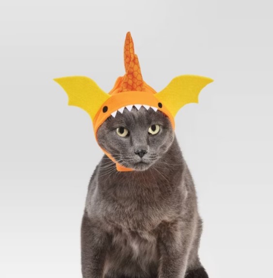 Meow-gical Transformations: Dressing Up Your Cat for a Fun Halloween